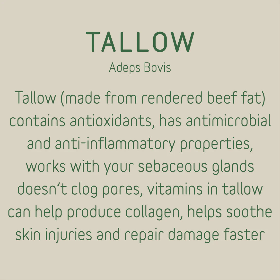skinb Vanilla Tallow Balm