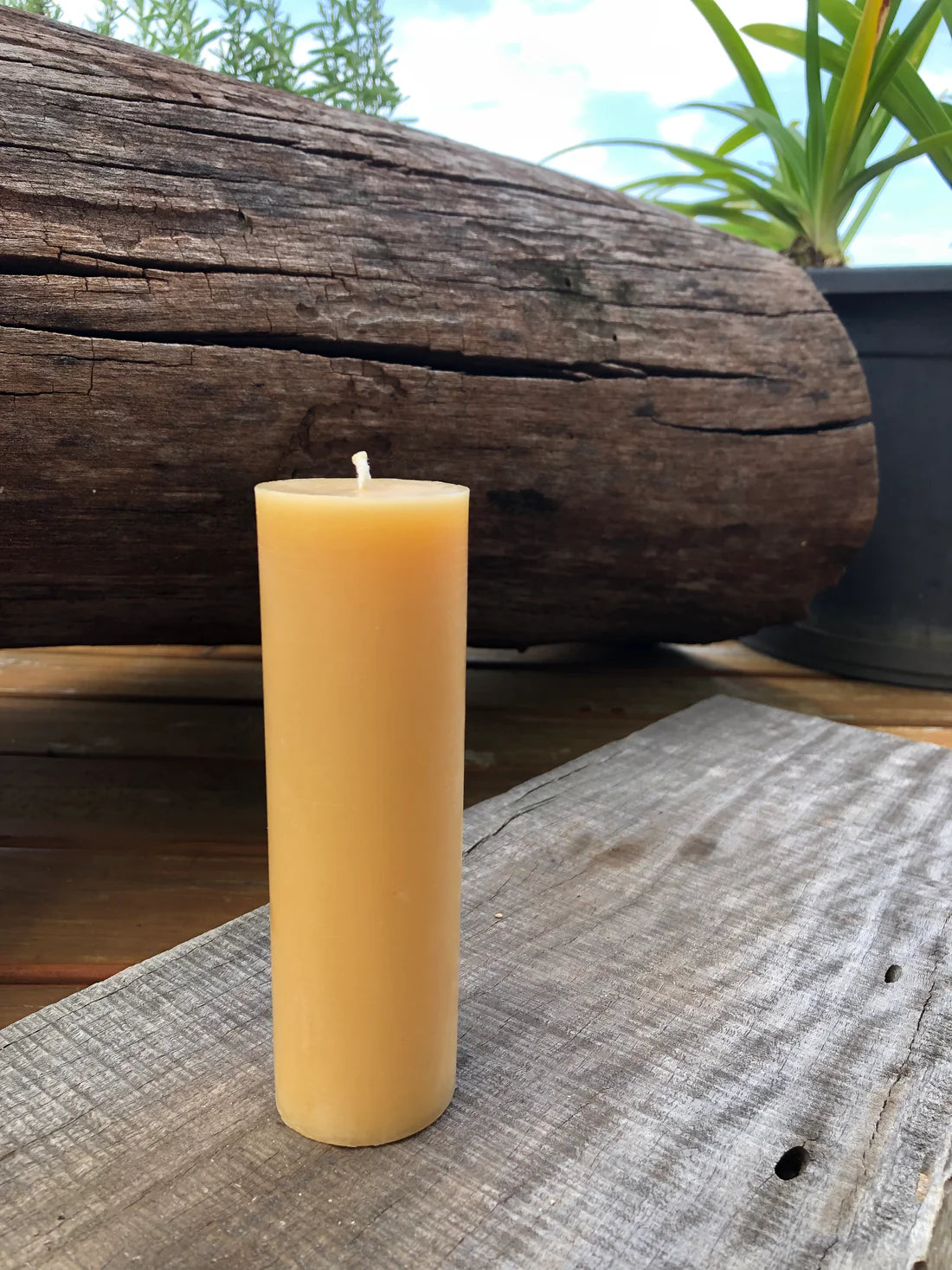 'Tree House' Beeswax Mini Large Pillar Candle