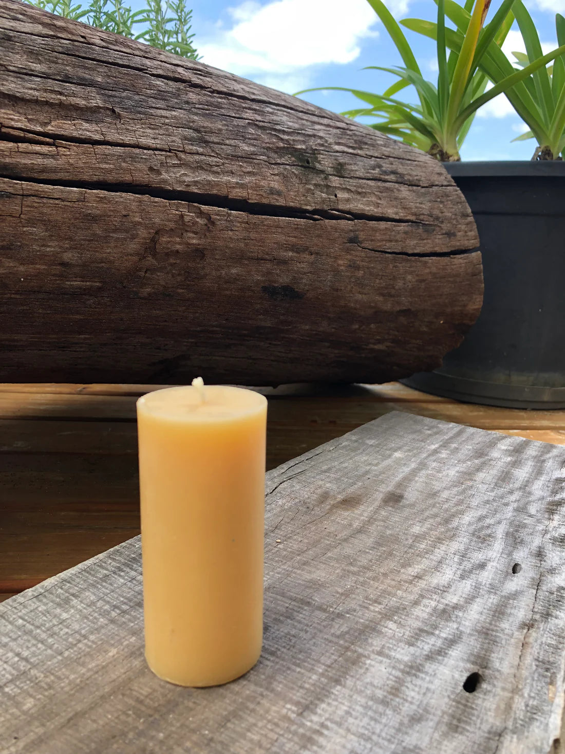 'Tree House' Beeswax Mini Pillar Medium Candle