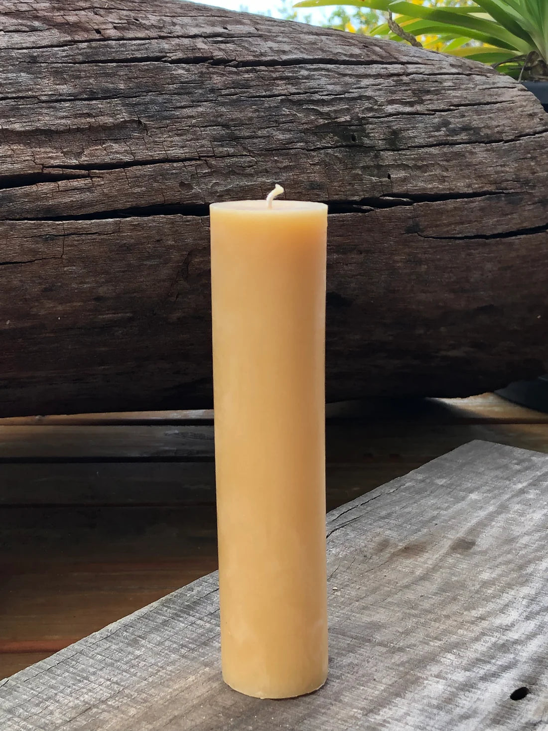 'Tree House' Beeswax Mini XL Pillar Candle