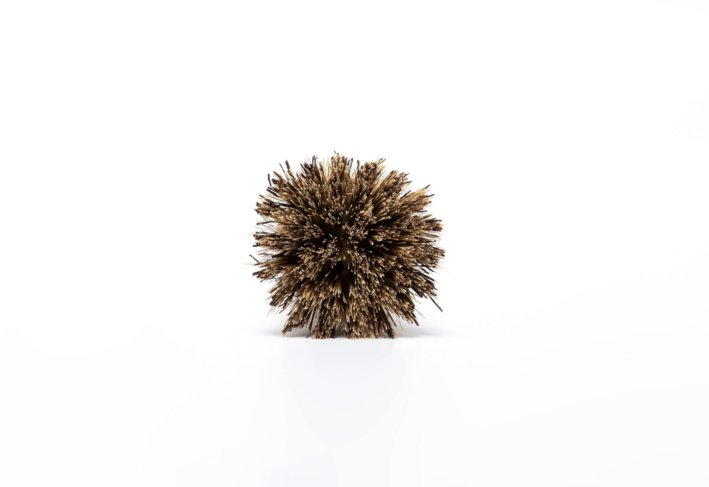 Earth On Us Pot Brush