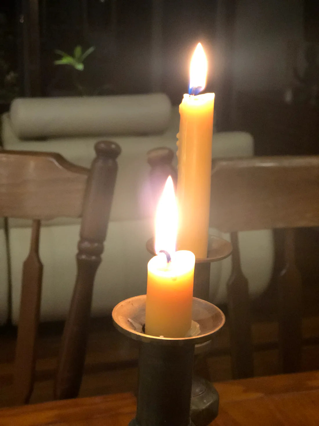 'Tree House' Dinner Table Taper Candle